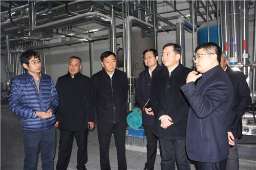 ���ָ�ylg888888(�й�)���޹�˾