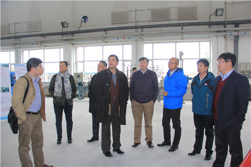 ���ָ�ylg888888(�й�)���޹�˾