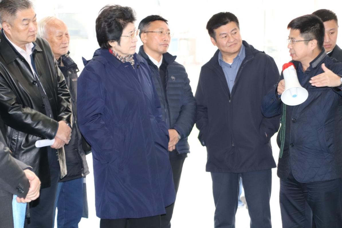 ���ָ�ylg888888(�й�)���޹�˾