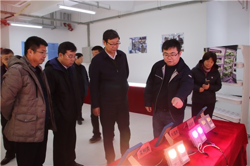 ���ָ�ylg888888(�й�)���޹�˾