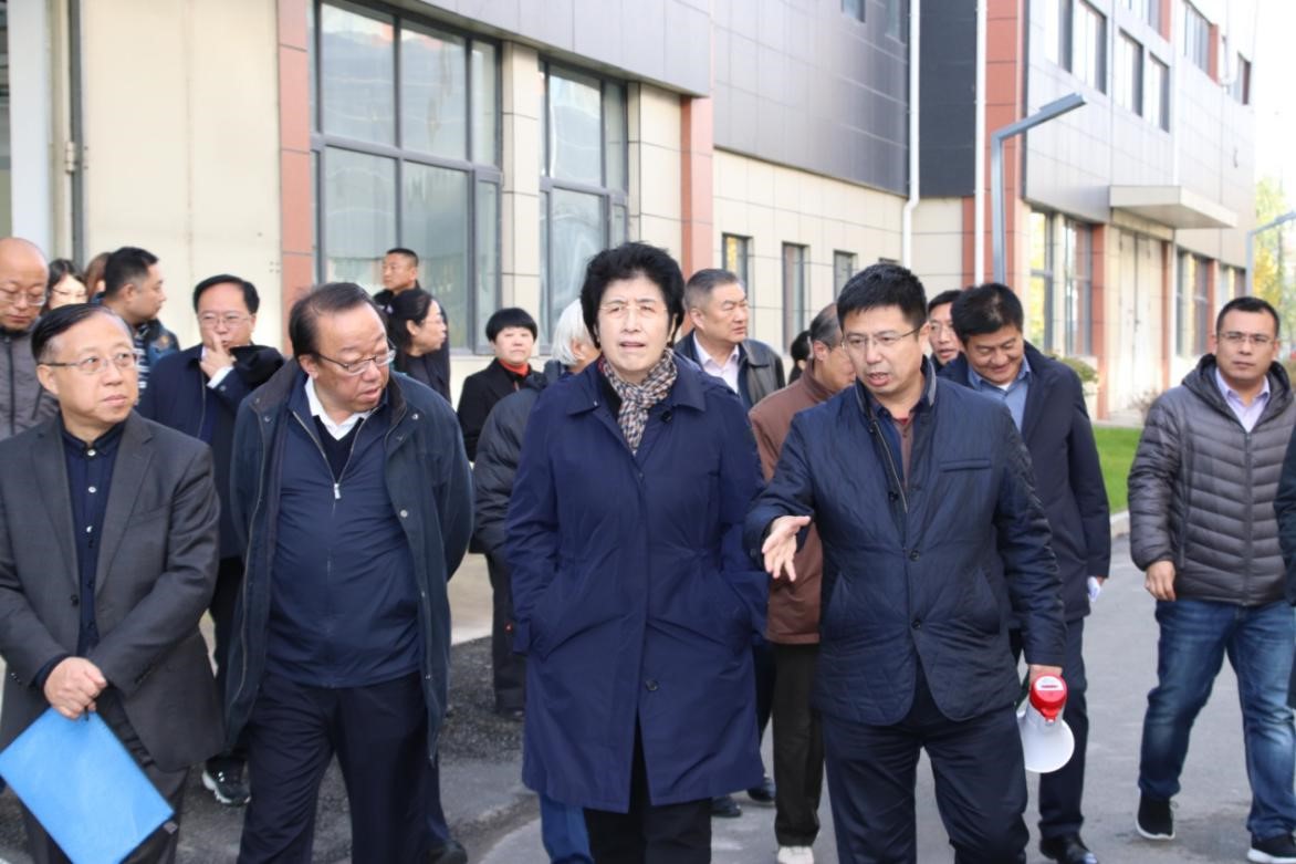 ���ָ�ylg888888(�й�)���޹�˾