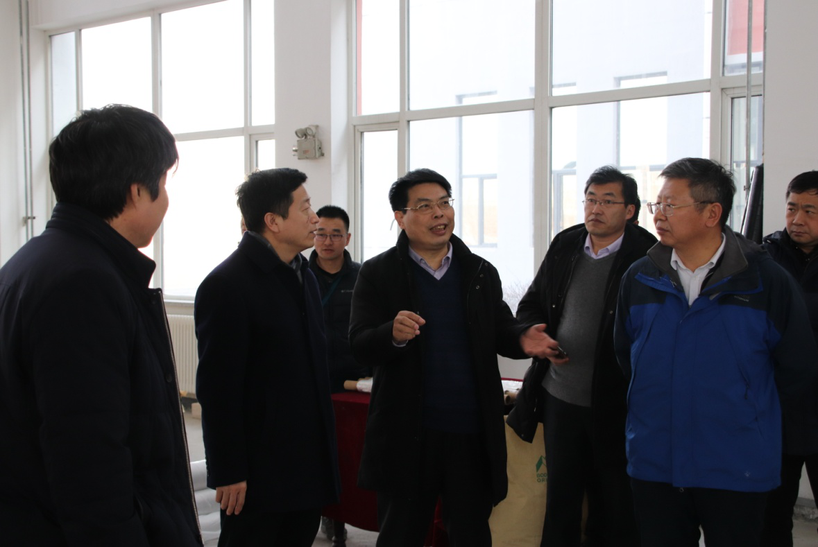 ���ָ�ylg888888(�й�)���޹�˾